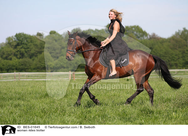 Frau reitet Traber / woman rides trotter / BES-01645