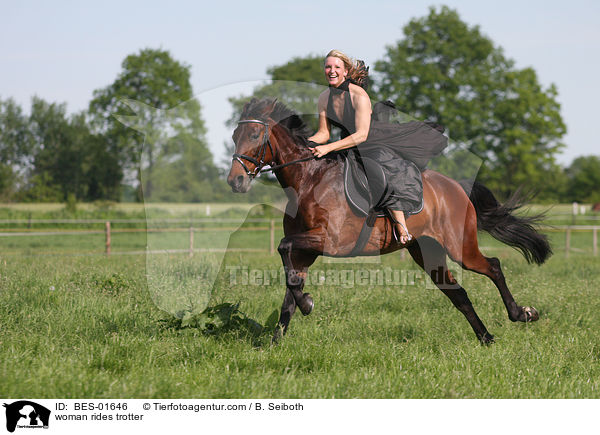 Frau reitet Traber / woman rides trotter / BES-01646