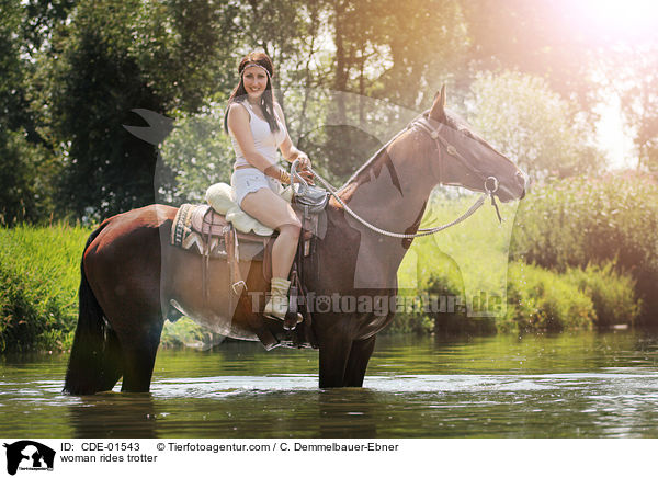 Frau reitet Traber / woman rides trotter / CDE-01543