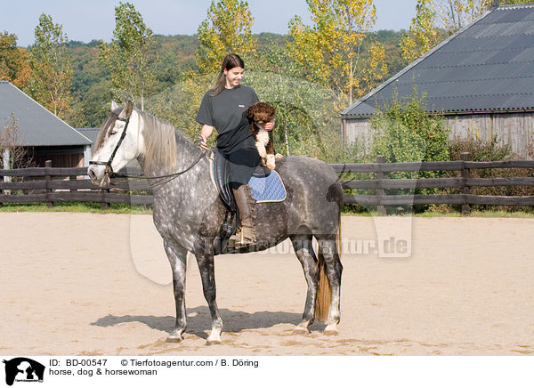 horse, dog & horsewoman / BD-00547