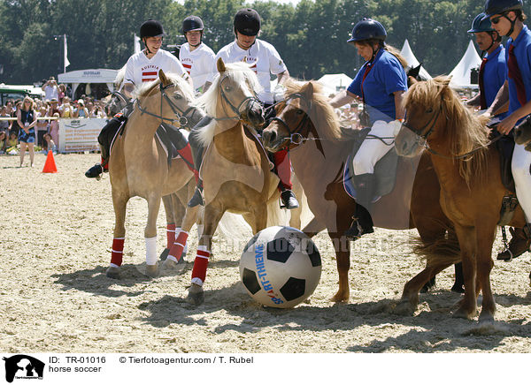 Pferdefuball / horse soccer / TR-01016
