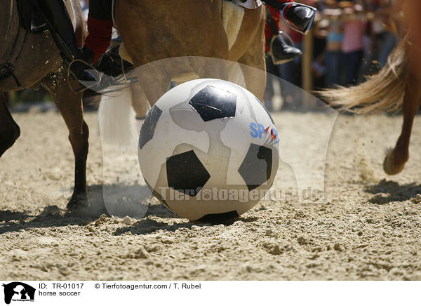 Pferdefuball / horse soccer / TR-01017