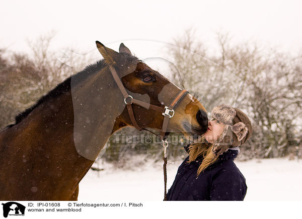Frau und Warmblut / woman and warmblood / IPI-01608