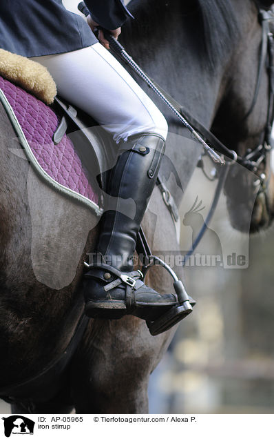 Steigbgel / iron stirrup / AP-05965