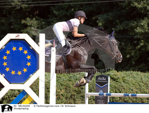 showjumping / NS-02200