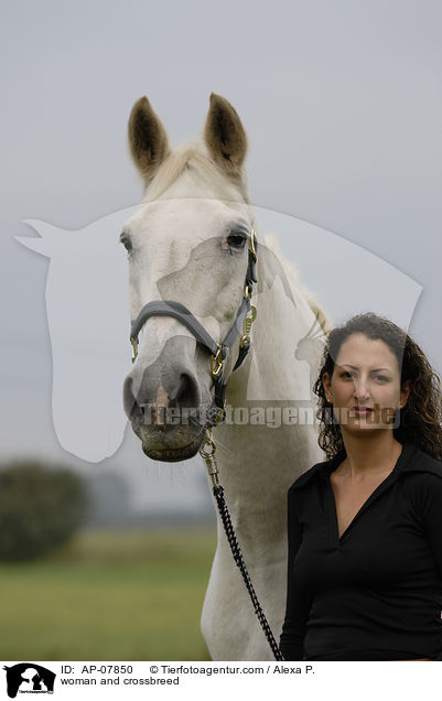 Frau und Warmblut-Mix / woman and crossbreed / AP-07850