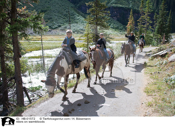 Reiter auf Warmbltern / riders on warmbloods / HB-01572