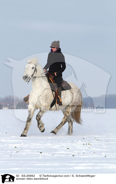 Frau reitet Warmblut / woman rides warmblood / SS-26862
