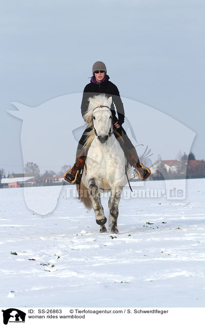 Frau reitet Warmblut / woman rides warmblood / SS-26863