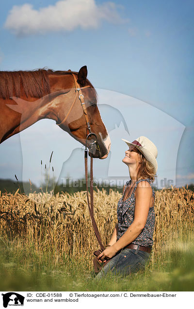 Frau und Warmblut / woman and warmblood / CDE-01588