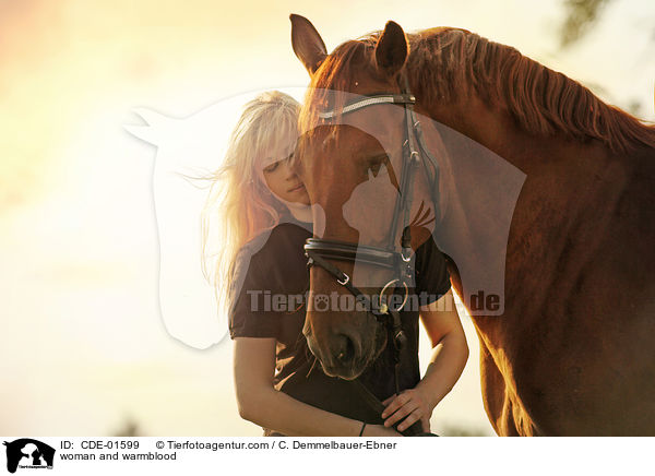 Frau und Warmblut / woman and warmblood / CDE-01599