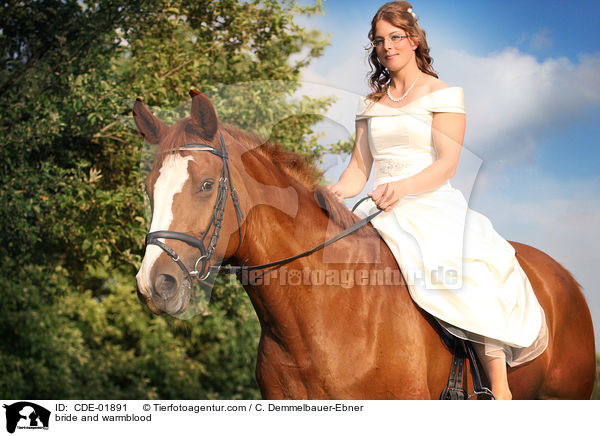 Braut und Warmblut / bride and warmblood / CDE-01891