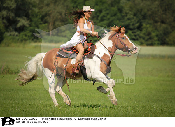 Frau reitet Warmblut / woman rides warmblood / CDE-02020