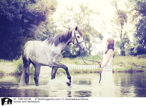 Frau und Warmblut / woman and warmblood / CDE-02108