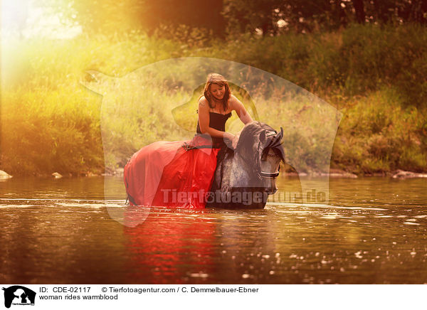 Frau reitet Warmblut / woman rides warmblood / CDE-02117