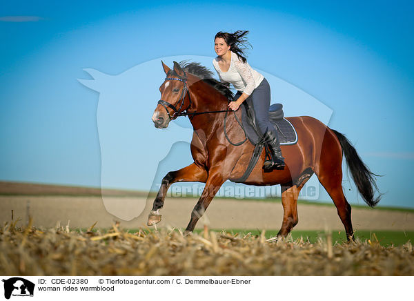 Frau reitet Warmblut / woman rides warmblood / CDE-02380