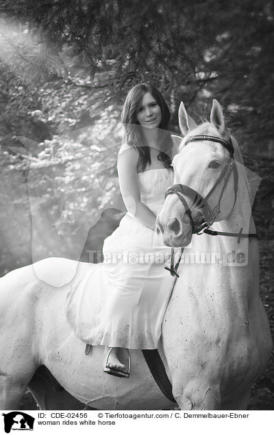 Frau reitet Schimmel / woman rides white horse / CDE-02456