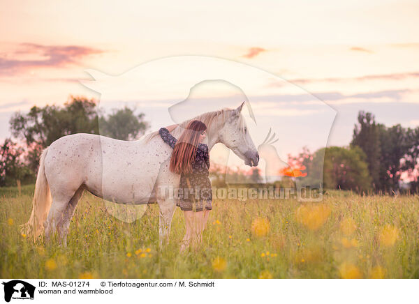 Frau und Warmblut / woman and warmblood / MAS-01274