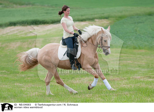 Frau reitet Warmblut / woman rides warmblood / NS-04683