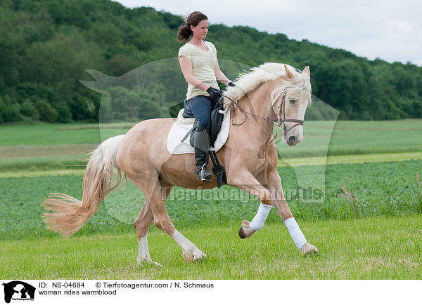 Frau reitet Warmblut / woman rides warmblood / NS-04684