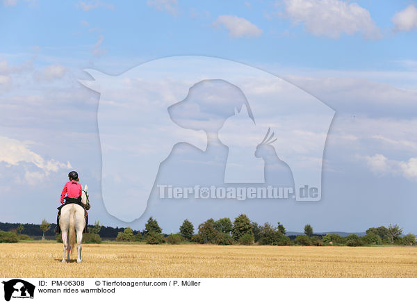 Frau reitet Warmblut / woman rides warmblood / PM-06308