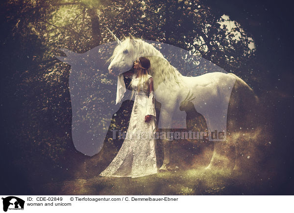 woman and unicorn / CDE-02849