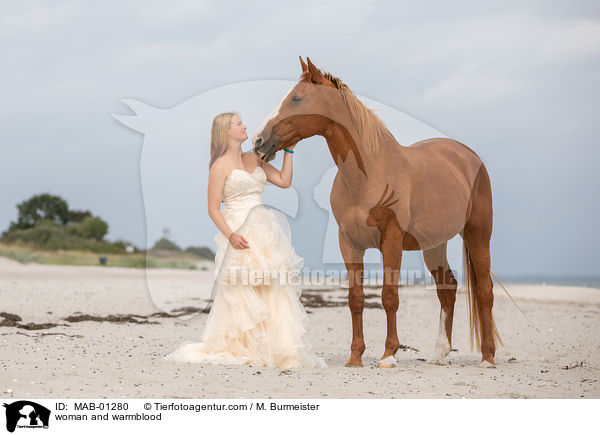 Frau und Warmblut / woman and warmblood / MAB-01280