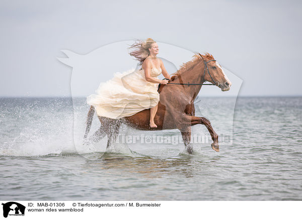 Frau reitet Warmblut / woman rides warmblood / MAB-01306