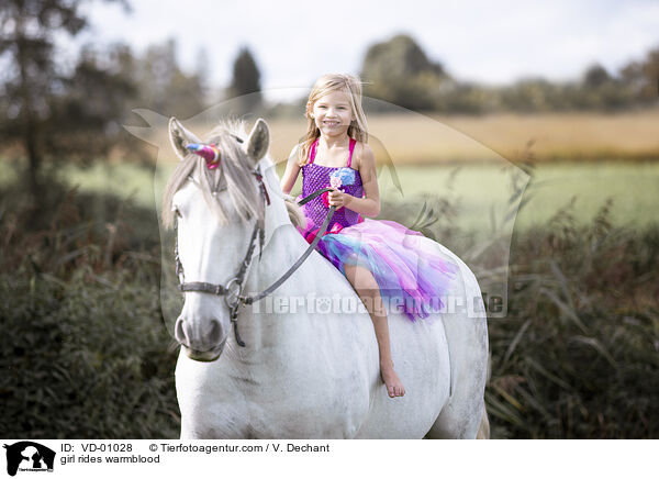 Mdchen reitet Warmblut / girl rides warmblood / VD-01028