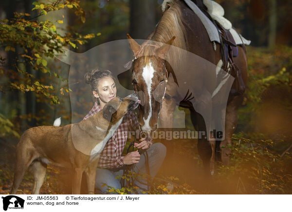 woman, dog and horse / JM-05563