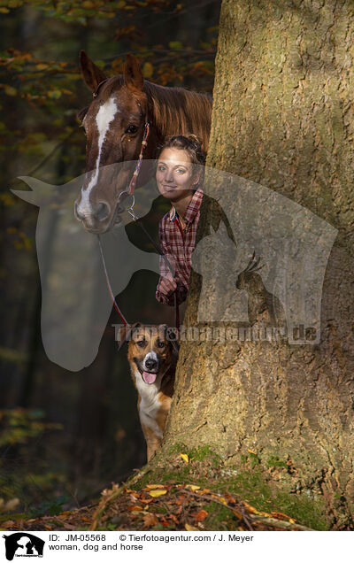 Frau, Hund und Pferd / woman, dog and horse / JM-05568