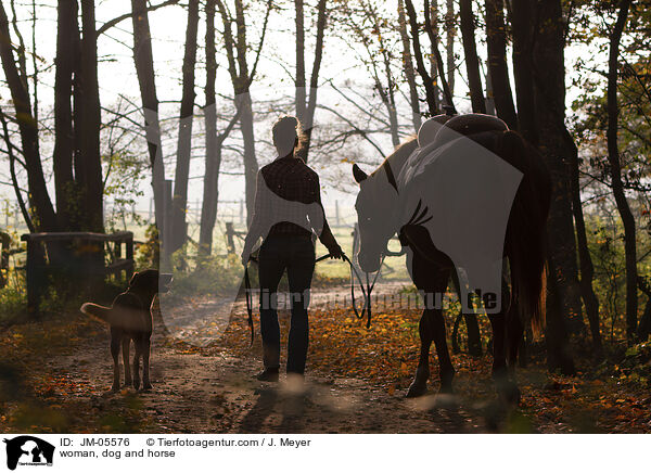 Frau, Hund und Pferd / woman, dog and horse / JM-05576