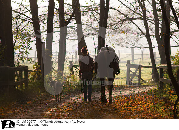 woman, dog and horse / JM-05577
