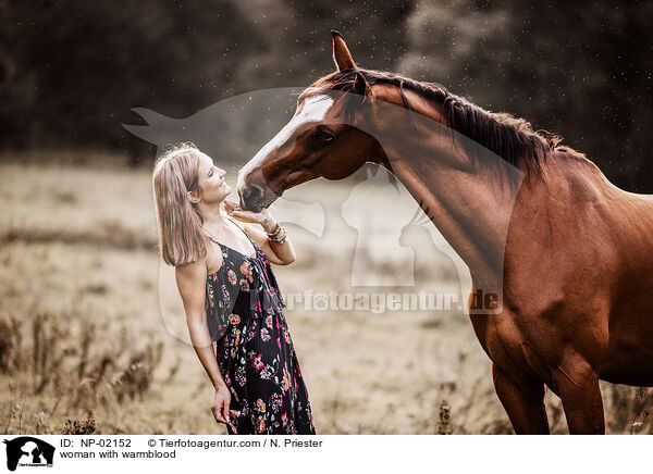 Frau mit Warmblut / woman with warmblood / NP-02152