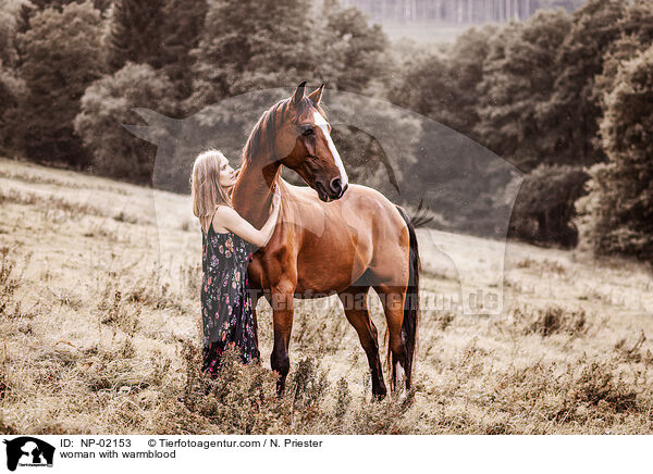 Frau mit Warmblut / woman with warmblood / NP-02153