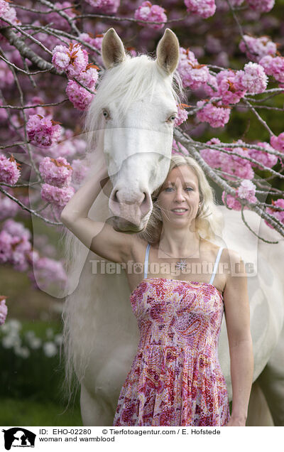 woman and warmblood / EHO-02280