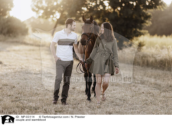 couple and warmblood / NP-03114