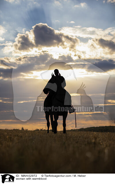 woman with warmblood / MAH-02972