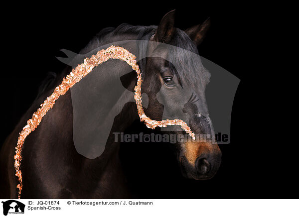 Spanish-Cross / JQ-01874