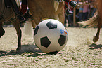 horse soccer