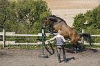 jumping horse