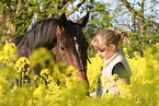 woman and warmblood