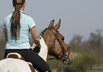 woman rides warmblood