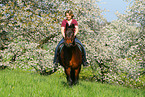 riding