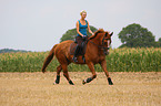 woman rides warmblood