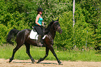 woman rides warmblood