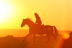 woman rides warmblood