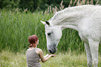 woman and warmblood