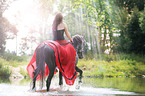 woman rides warmblood