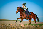 woman rides warmblood